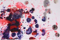 Photo of Various Textures